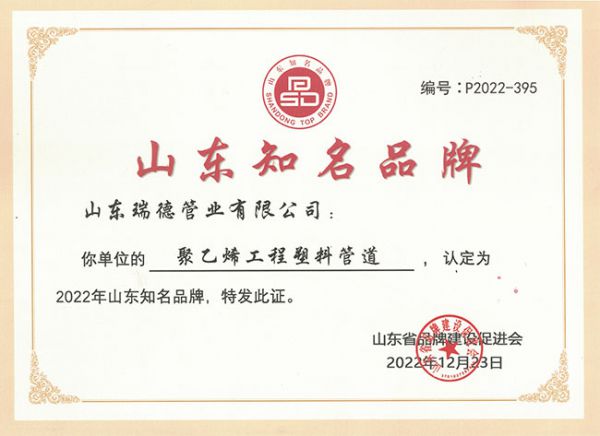 山东知名品牌证书
